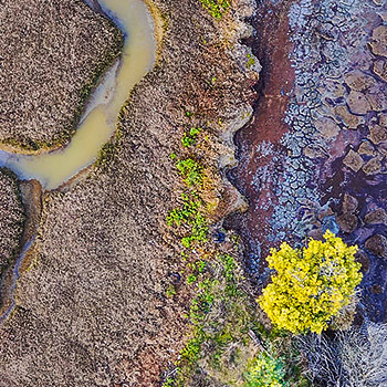 An aerial view of the Golden Gate Bridge in San Francisco, California