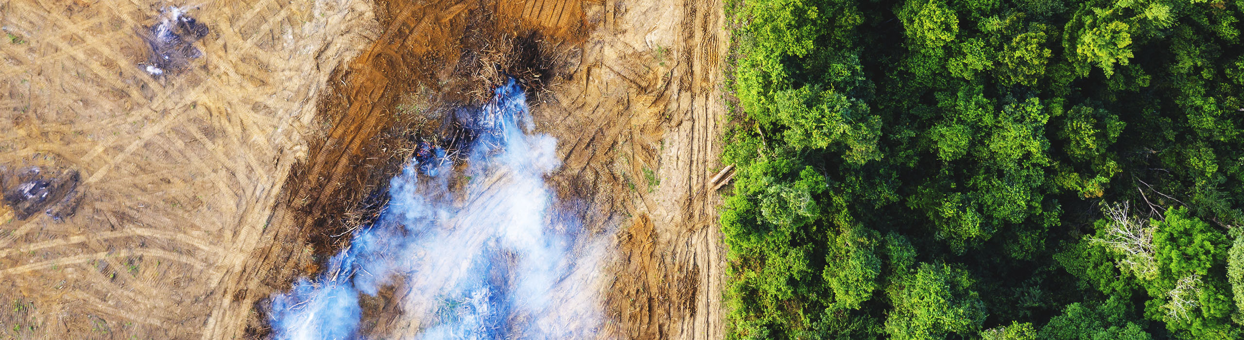 An image of forested land from above shows a stark line where green tree cover ends and the land has been razed to bare dirt