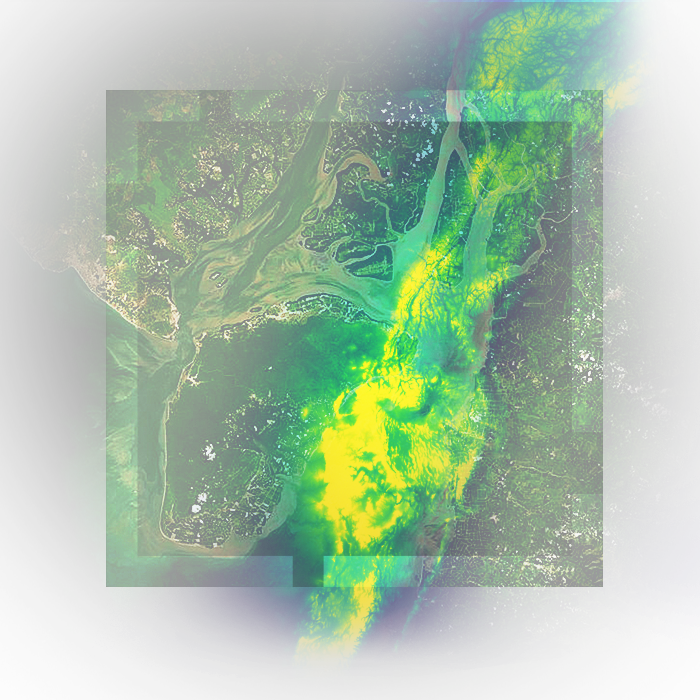A satellite image of a river leading to a coastline with shades of green and yellow highlighting terrain data