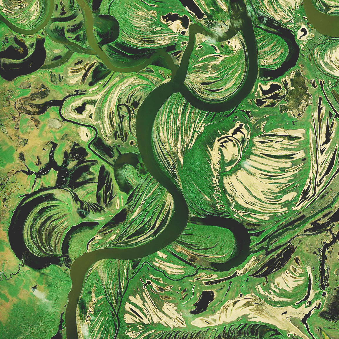 Satellite imagery of wetlands shows a dark green river curving through brown and bright green marshes