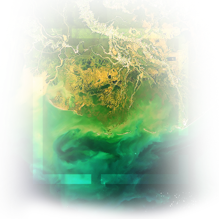 A satellite image of a coastline shows terrain data in green with yellow hotspots