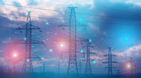 Integrated Asset & Network Management 