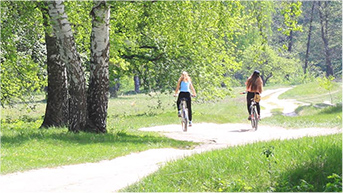 Two people biking on a trail through the woods