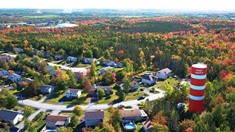 Suburban houses nestled in green trees