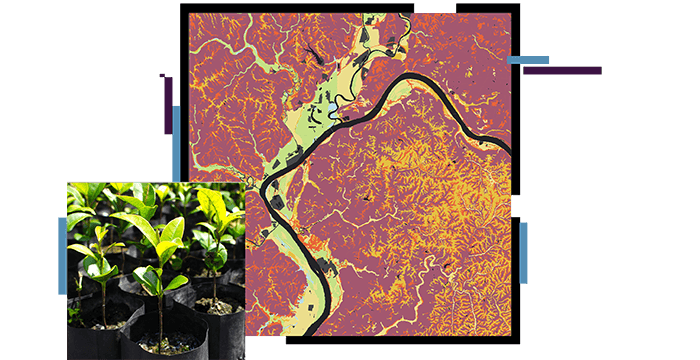 Plants and a map with waterways
