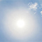A view from the ground of the sun surrounded by a sun flare
