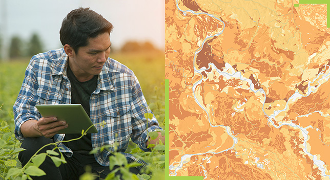A split screen of a person in a field inspecting leaves and carrying a tablet, and a bright orange and yellow map