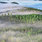 An aerial photo of a heavily forested green peninsula surrounded by deep blue waters beneath a layer of white mist