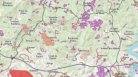 A contour map with areas shaded in purple and pink on a light green background