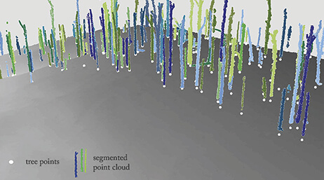 A tree point analysis with points shown in blue, green, and yellow on a gray background
