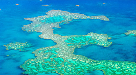 An aerial view of a coral reef
