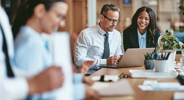 Business professionals working at a meeting table with a laptop