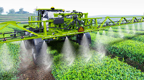 A photo of a green  crop sprayer in a sunlit field of bright green crops