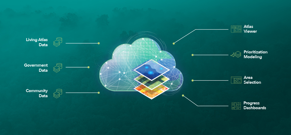 An illustration of cloud-based software that integrates different kinds of data and has many capabilities