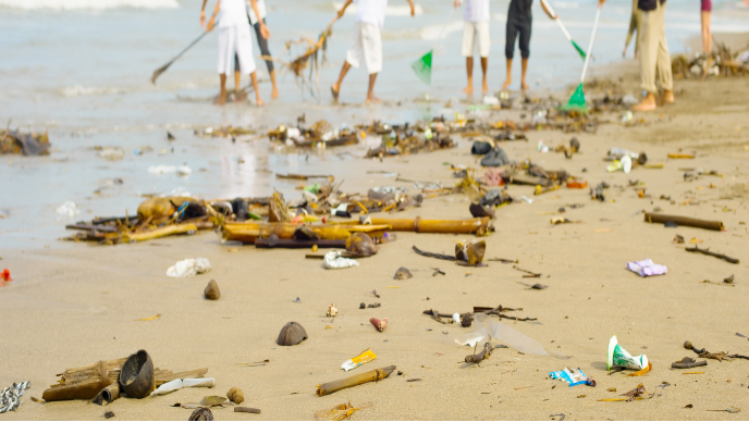 Beach cleanup volunteers