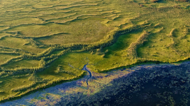 An aerial photo of a green hilly wilderness beside a deep blue shoreline