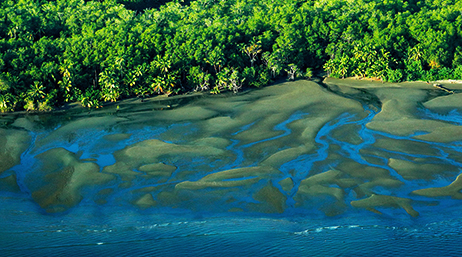An Arc Hydro visualization that shows water next to a forest