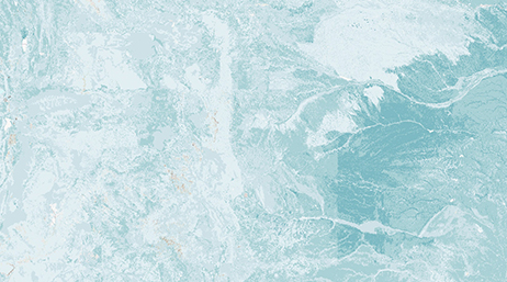 An aerial map in light blue