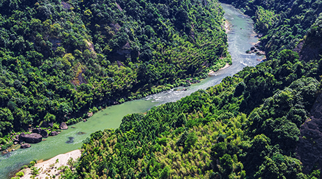 A flowing river surrounded by forests