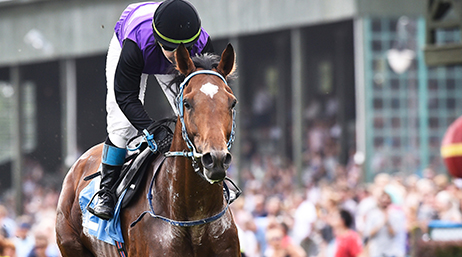 A jockey racing a horse down a track in front of crowds of people