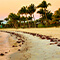 A beach lined with palm trees and pink and blue skies in Key West