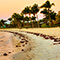 A beach lined with palm trees and pink and blue skies in Key West