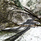 A snowy lane in Salem, Oregon with trees on both sides of the road and arching trees