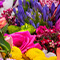 Colorful variety of flowers