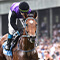 A jockey racing a horse down a track in front of crowds of people