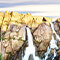 A photo of a grass-covered rocky waterfall surrounded by forest trees under a hazy blue sky