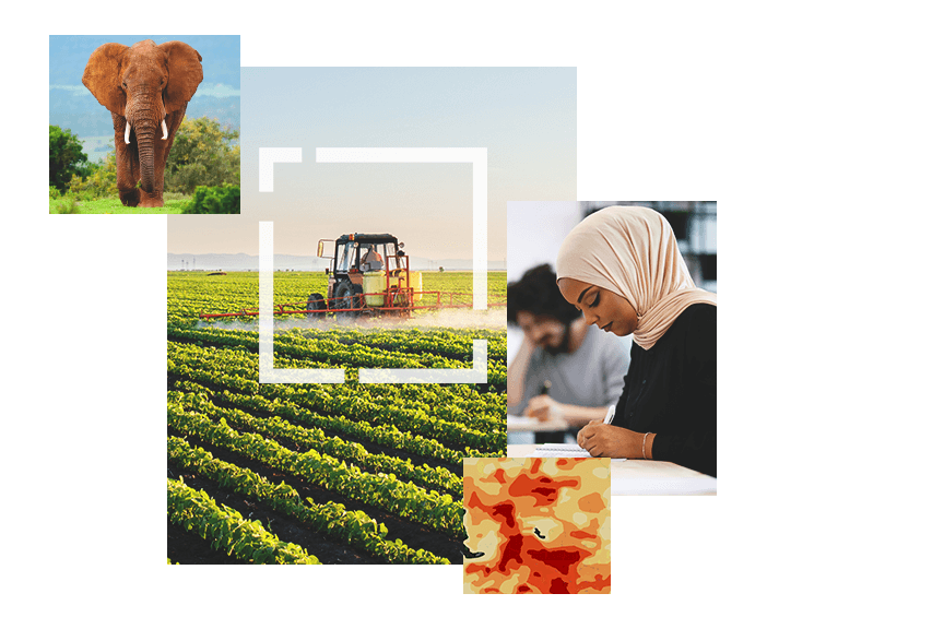 Elephant, person driving a large tractor in a field, woman writing, and map with red and yellow areas