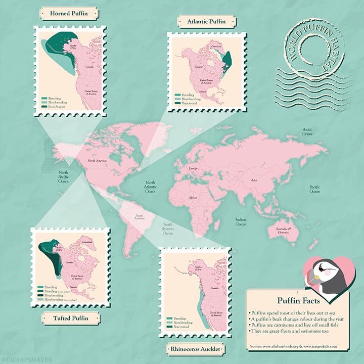 A map showing the locations of breeding grounds for different species of puffins