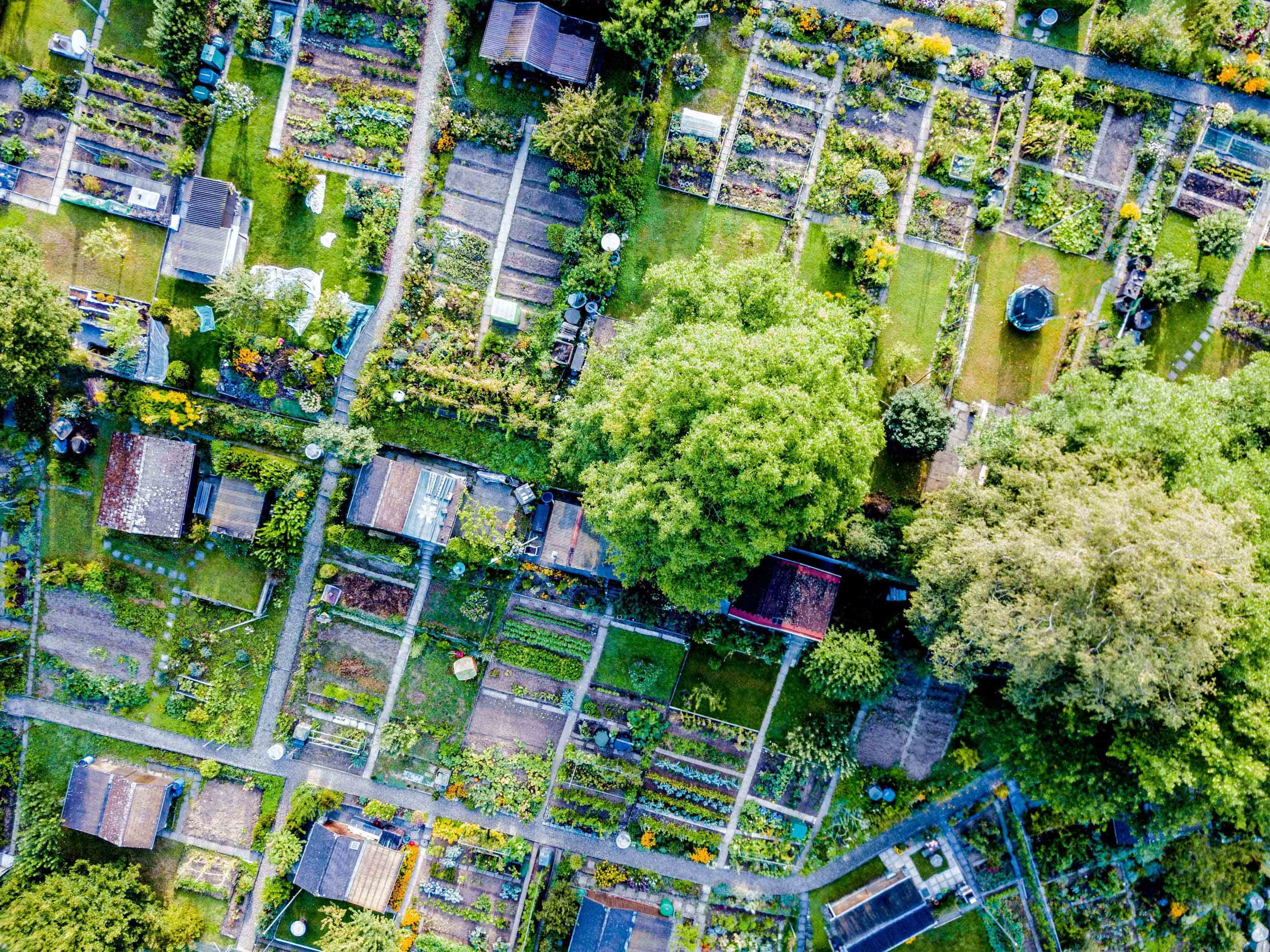 Aerial view of city showing streets, homes, trees